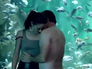 Video Emmy Rossum Sex Against Large Aquarium In Shameless  