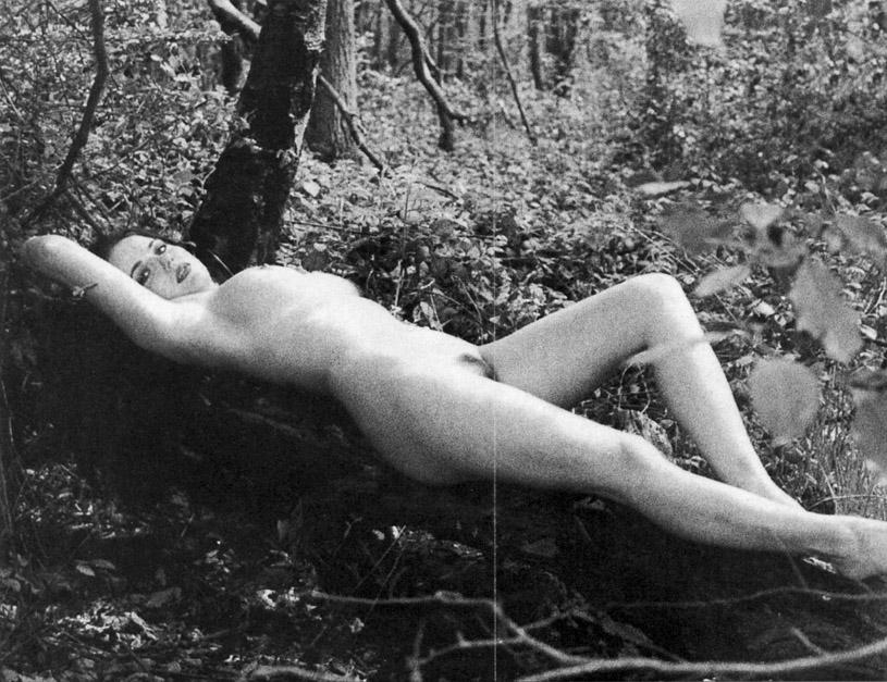 Reclining Nude Study Photo