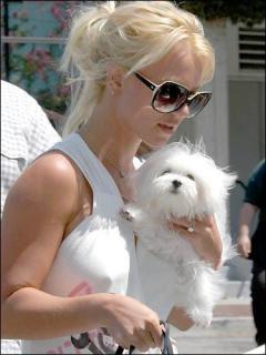 Britney Spears [375x500] [32.01 kb]