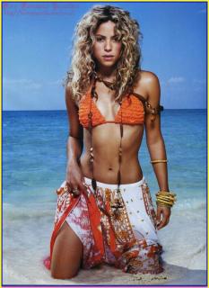 Shakira in Fhm [892x1220] [161.99 kb]