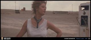 Susan Sarandon [1270x570] [52.69 kb]