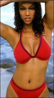 Tyra Banks dans Bikini [386x692] [42.2 kb]