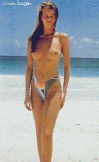 Claudia Schiffer Nude [296x480] [19.97 kb]