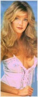 Heather Locklear [169x430] [16.34 kb]