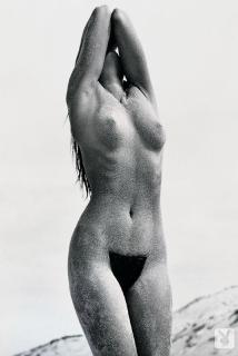Cindy Crawford Nude [536x800] [55.61 kb]