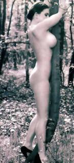 Geri Halliwell Nude [273x600] [39.21 kb]