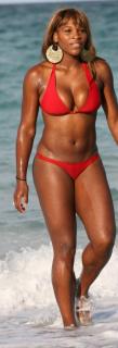 Serena Williams en Bikini [284x828] [54.8 kb]