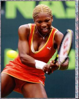 Serena Williams [879x1105] [237.45 kb]