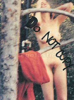 Marcia Cross Nude [385x516] [42.18 kb]