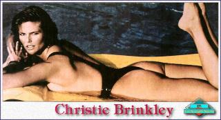 Christie Brinkley [1024x558] [150.13 kb]