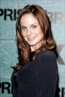 Sarah Wayne Callies [450x664] [41.41 kb]