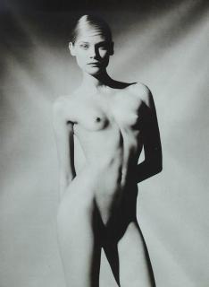 Diane Kruger Nude [564x768] [33.82 kb]