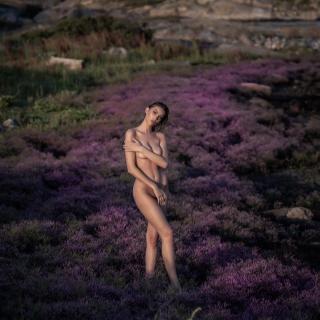 Melinda London Nude [1080x1080] [203.95 kb]