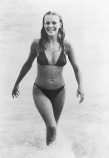 Cheryl Ladd in Bikini [473x681] [33.19 kb]