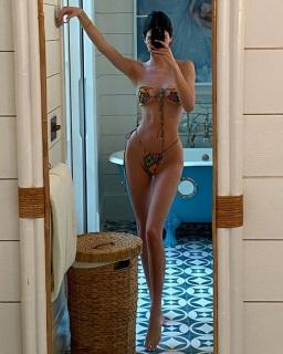 Kendall Jenner dans Bikini [650x812] [110.89 kb]
