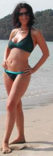 Laura Pausini in Bikini [218x634] [16.67 kb]