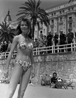 Brigitte Bardot [3543x4538] [1189.26 kb]