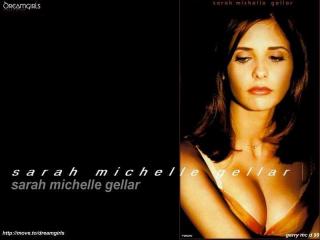 Sarah Michelle Gellar [800x600] [42.5 kb]