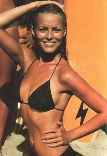 Cheryl Ladd in Bikini [454x663] [87.16 kb]