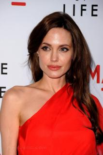 Angelina Jolie [1200x1800] [216 kb]