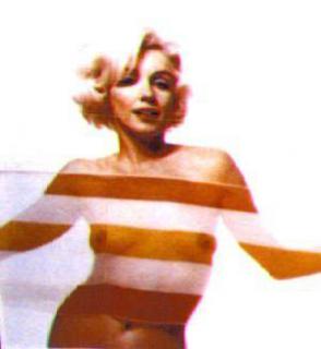 Marilyn Monroe [300x326] [10.57 kb]