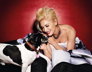 Gwen Stefani [431x338] [24.81 kb]