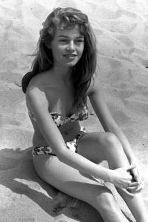 Brigitte Bardot [3543x5314] [1236.58 kb]