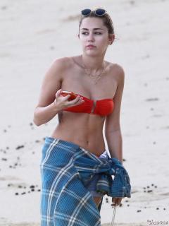 Miley Cyrus en Bikini [675x900] [56.83 kb]