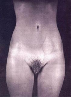 Kate Moss Desnuda [513x700] [58.67 kb]