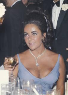 Elizabeth Taylor [228x320] [10.09 kb]