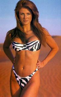 Angie Everhart [400x628] [29.8 kb]