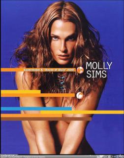 Molly Sims [788x1000] [150.61 kb]