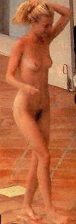 Gwyneth Paltrow Nude [181x529] [16.64 kb]